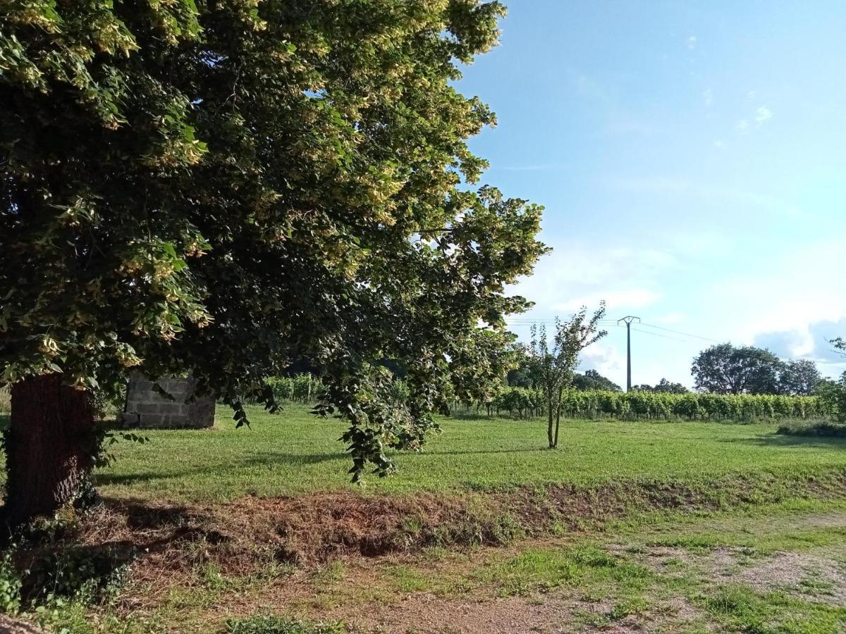 Le Domaine D Anaelys Holiday home Ruch